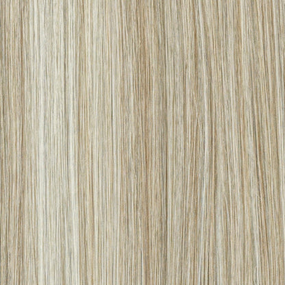 Champagne_Platinum_Blonde_Colour