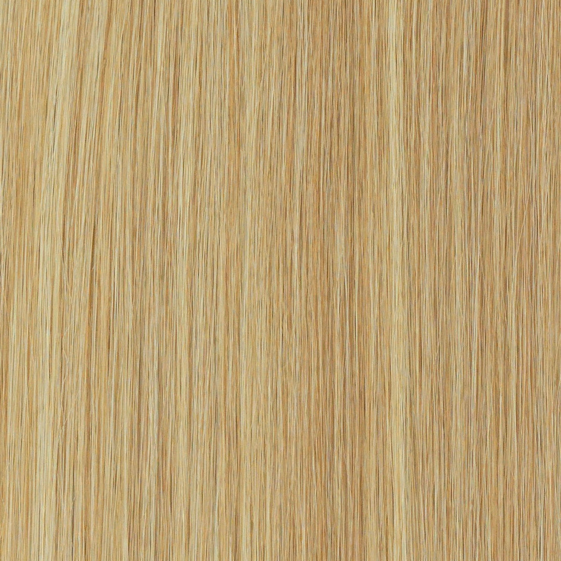 Honey_Blonde_Colour